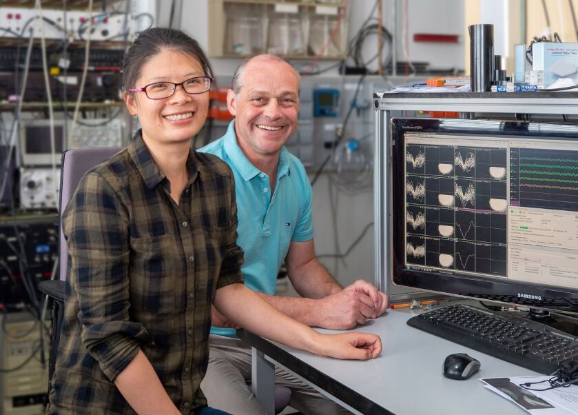 Dr. Ying Huang und Prof. Dr. Michael Brosch werten die Ergebnisse ihrer Studie aus - (c) Reinhard Blumenstein_ LIN Dr. Ying Huang und Prof. Dr. Michael Brosch werten die Ergebnisse ihrer Studie aus - (c) Reinhard Blumenstein/ LIN