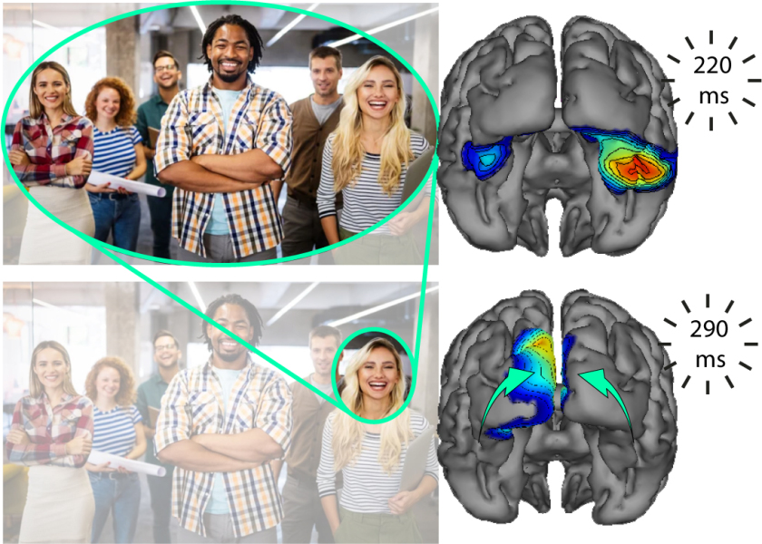 Grafik Wo findet Aufmerksamkeit im Gehirn statt - (c) Hopf_ Adobe Stock Grafik Wo findet Aufmerksamkeit im Gehirn statt - (c) Hopf/ Adobe Stock