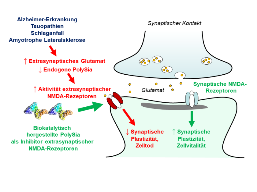 Demenz Therapeutikum Grafik